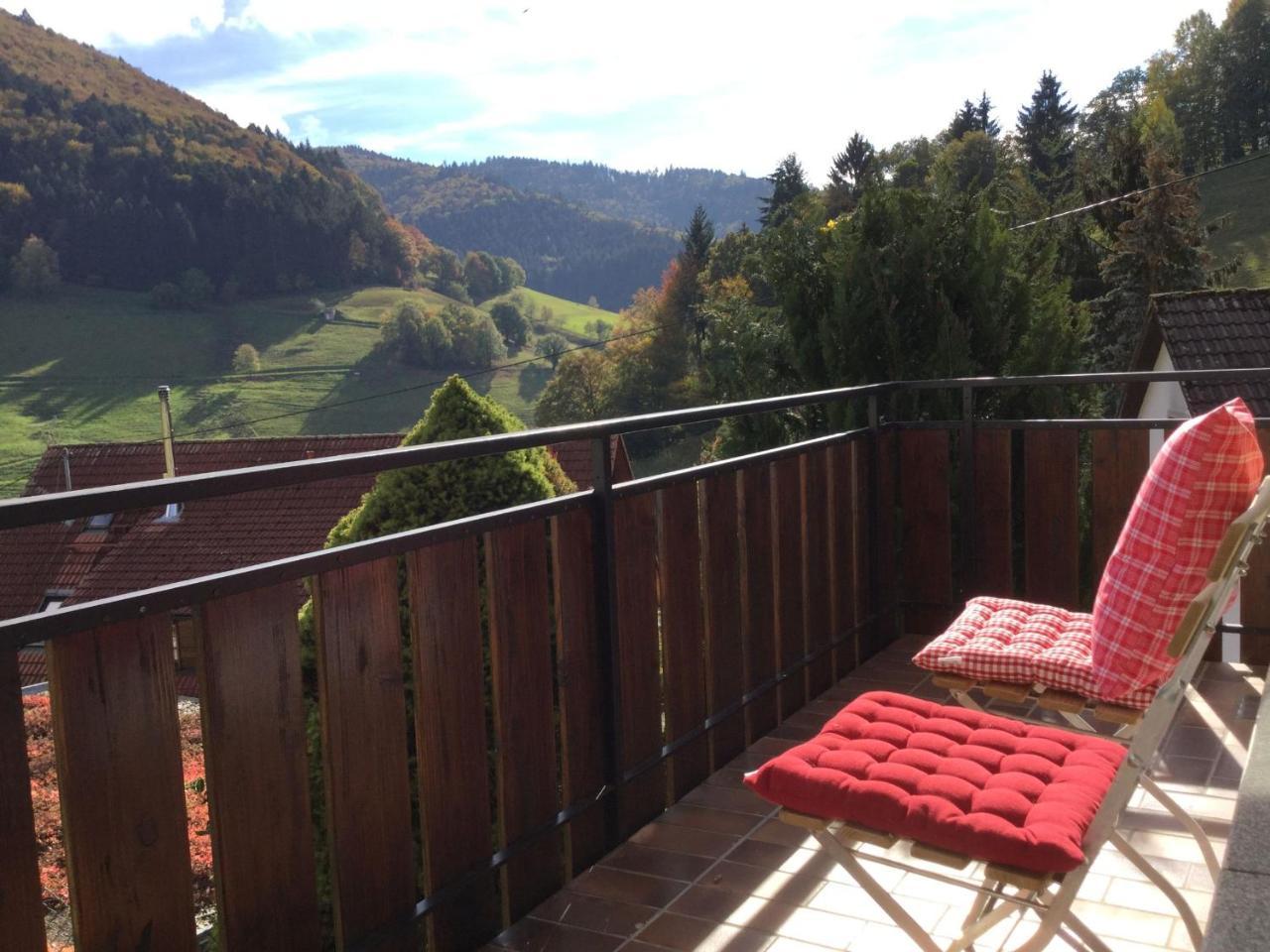 Erikas Haus Apartment Muenstertal Exterior photo